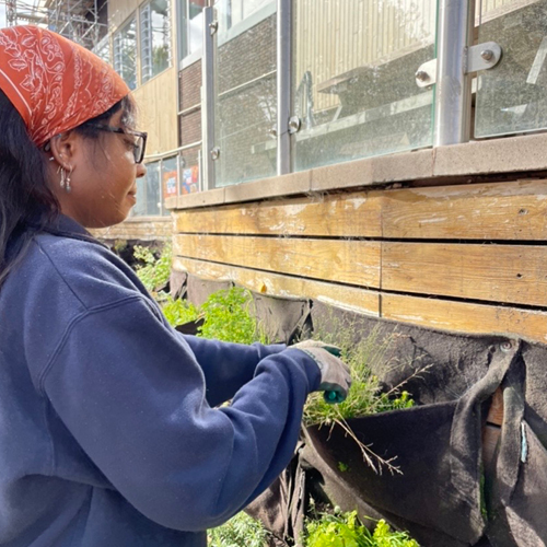 Register as a Volunteer