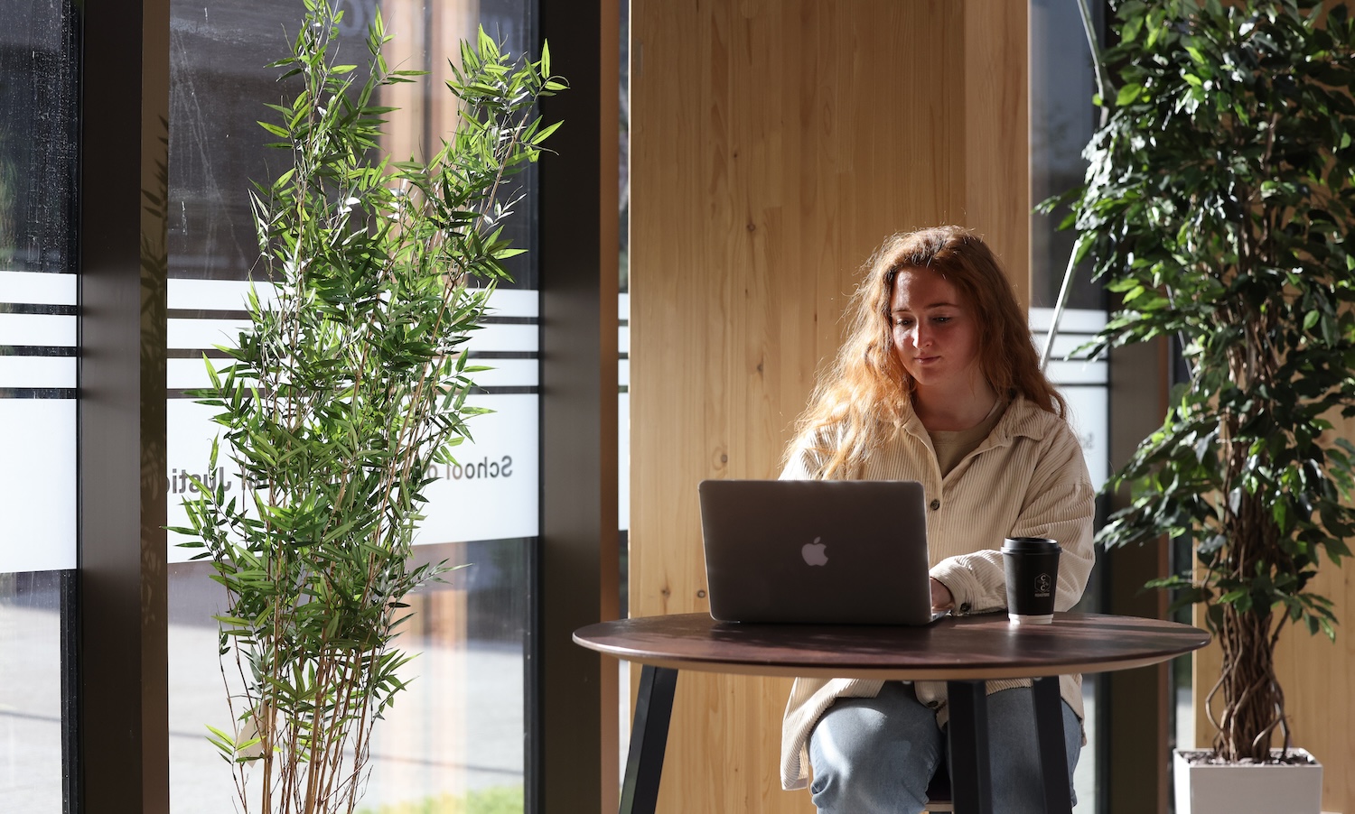 Person with long curly hair sitting at a table working on a laptop, there are plants around and the table is next to a window.